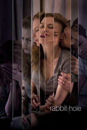 Rabbit Hole (2010) Hindi Dual Audio 300MB HD Poster Download - filmyfly