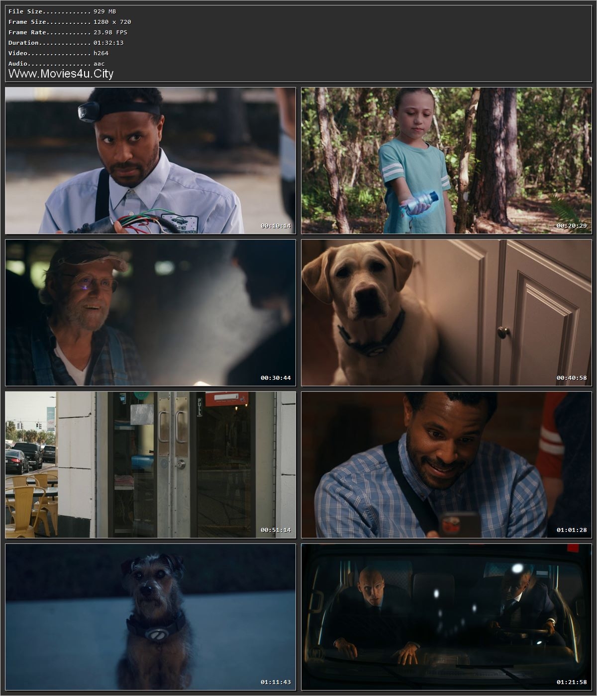 Movie Screenshot