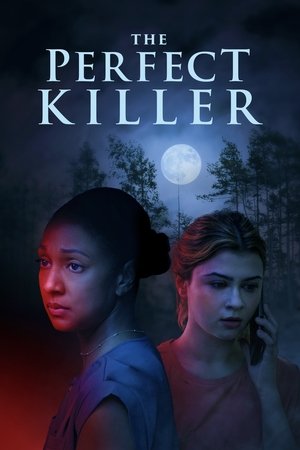 The Perfect Killer (2025) Hindi (MULTI AUDIO) – – HD Poster Download - filmyfly