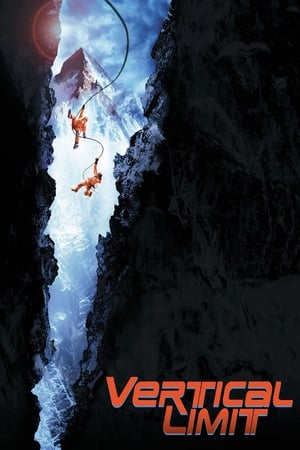 Vertical Limit (2000) Hindi Dual Audio [940MB] HD Poster Download - filmyfly
